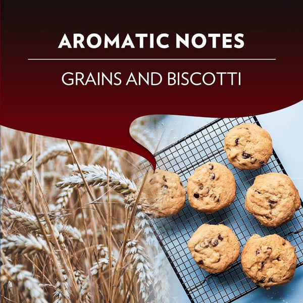 Load image into Gallery viewer, Lavazza Classico, box of 10 Nespresso Capsules