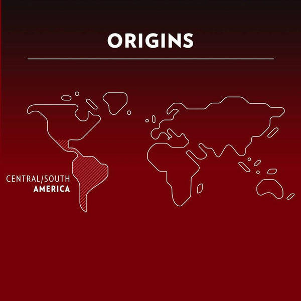 Load image into Gallery viewer, Lavazza Classico, box of 10 Nespresso Capsules