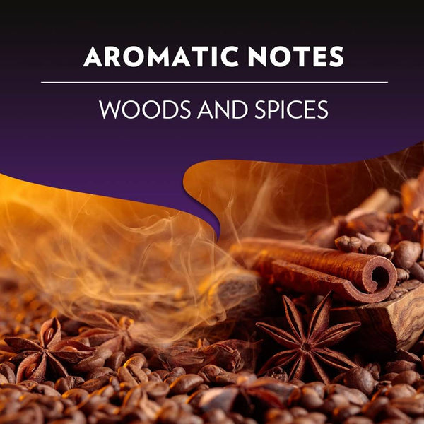 Load image into Gallery viewer, Lavazza Intenso, box of 10 Nespresso Capsules