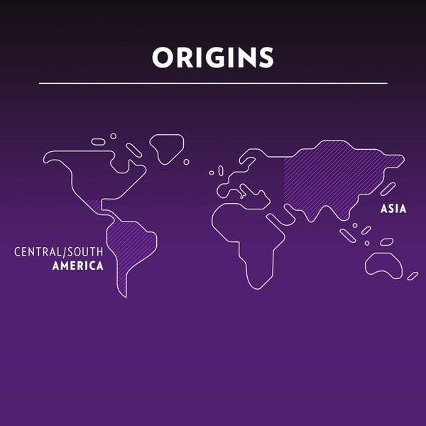 Load image into Gallery viewer, Lavazza Intenso, box of 10 Nespresso Capsules