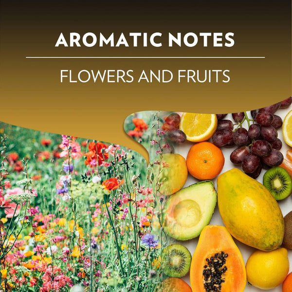 Load image into Gallery viewer, Lavazza Lungo, box of 10 Nespresso Capsules