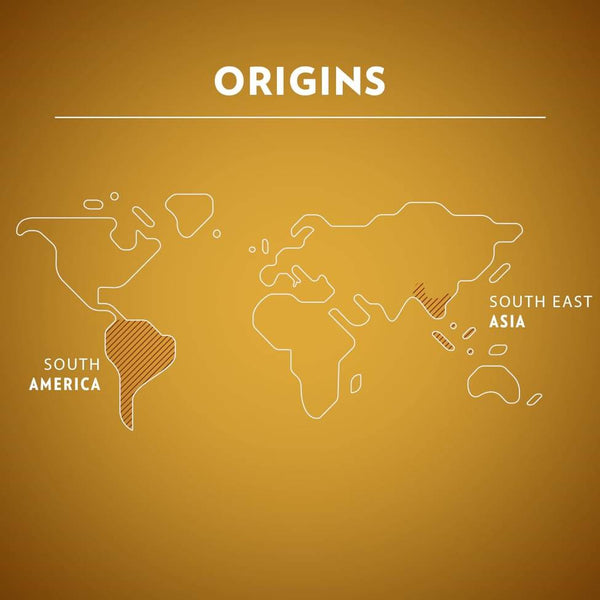 Load image into Gallery viewer, Lavazza Lungo, box of 10 Nespresso Capsules