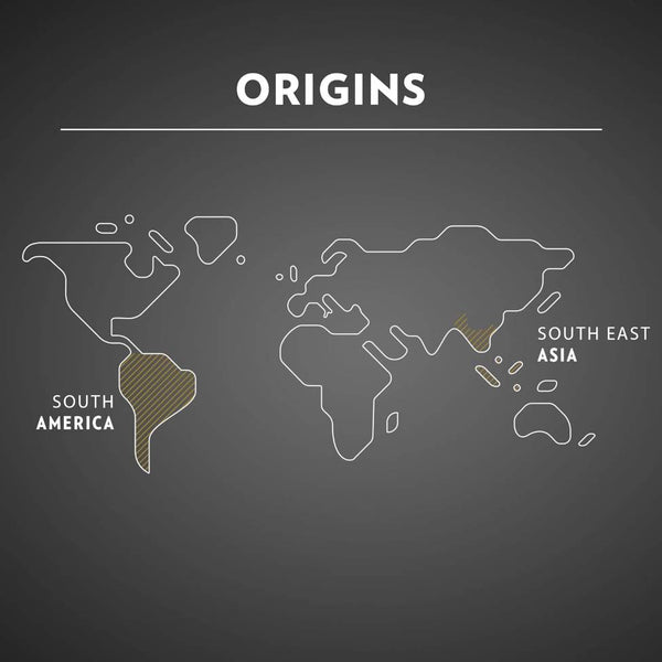 Load image into Gallery viewer, Lavazza Ristretto, box of 10 Nespresso Capsules