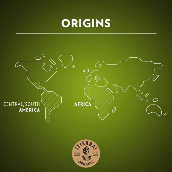 Load image into Gallery viewer, Lavazza Tierra for Planet Espresso, box of 10 Nespresso Capsules