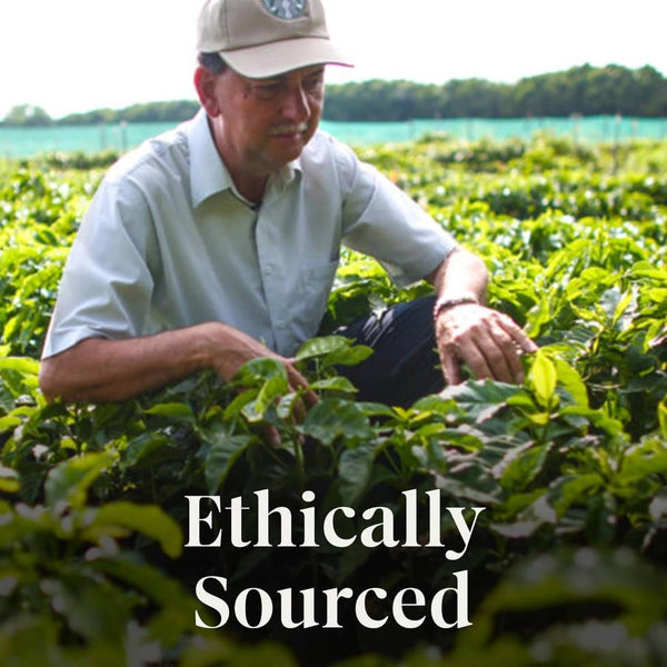 Load image into Gallery viewer, Starbucks Hot Cocoa, Keurig K-Cup Pods, Box of 10 K-cups