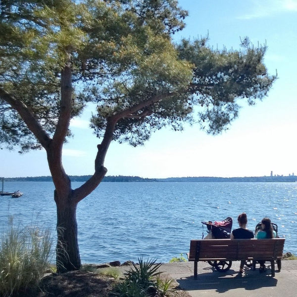 Load image into Gallery viewer, Kirkland Organic Breakfast Blend, Light Roast, Keurig K-Cup Coffee Pods, Box of 120 K-cups