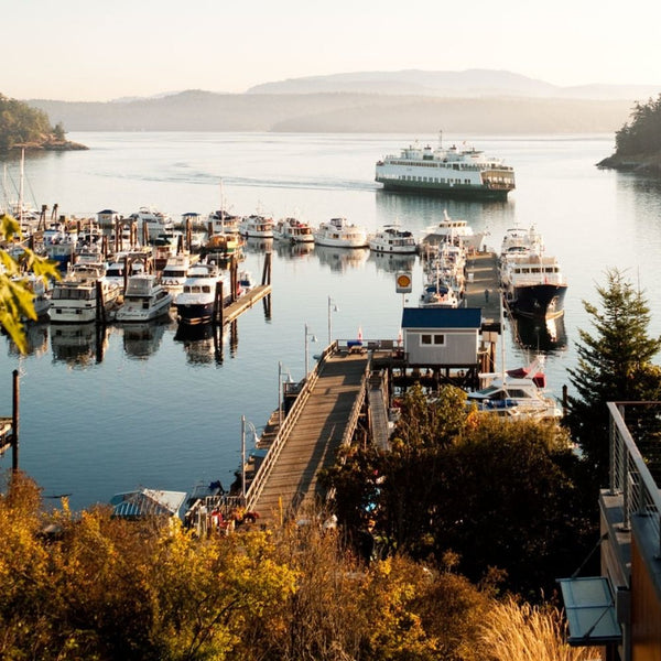 Load image into Gallery viewer, Seattle's Best Coffee Portside Blend, Medium Roast, Keurig K-Cup Coffee Pods